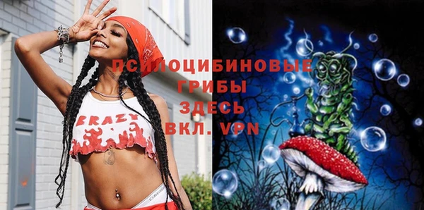не бодяженный Новозыбков
