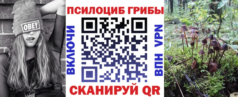 наркотики  Шуя  Галлюциногенные грибы Psilocybe 