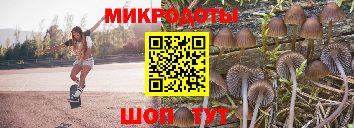 Галлюциногенные грибы MAGIC MUSHROOMS Шуя