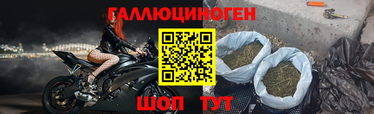 где можно купить наркотик  Псилоцибиновые грибы мицелий  Вход с VPN  Шуя  Галлюциногенные грибы GOLDEN TEACHER 