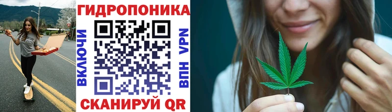купить наркотики цена  Шуя  МАРИХУАНА тримм 